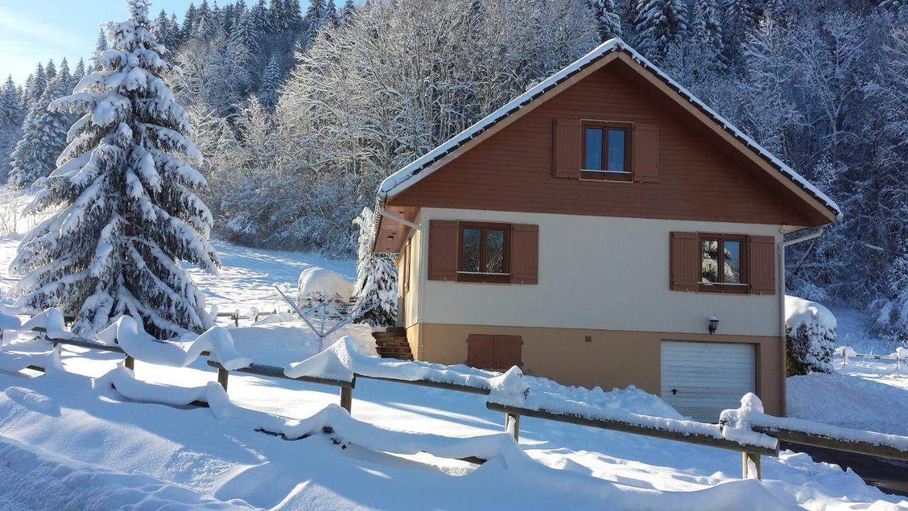 ג'רארדמר Le Bois Joli Chalet 4 Etoiles Cledicihome Cadre Paisible En Lisiere De Foret מראה חיצוני תמונה