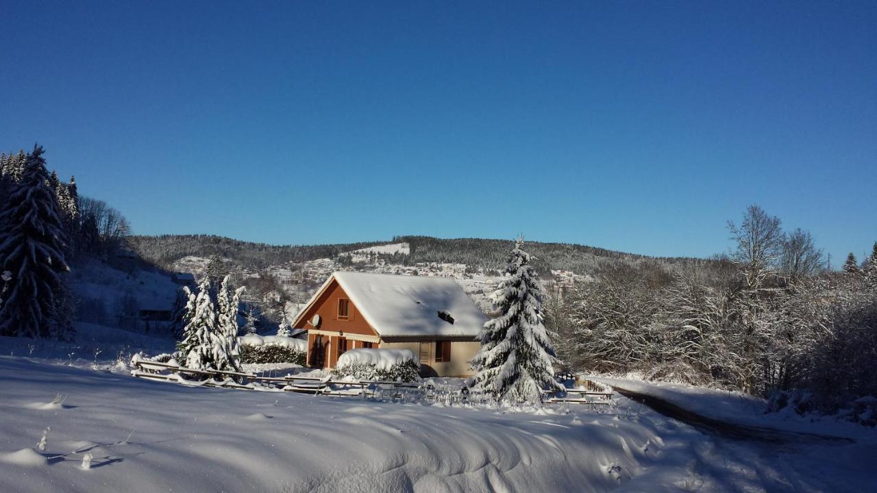 ג'רארדמר Le Bois Joli Chalet 4 Etoiles Cledicihome Cadre Paisible En Lisiere De Foret מראה חיצוני תמונה